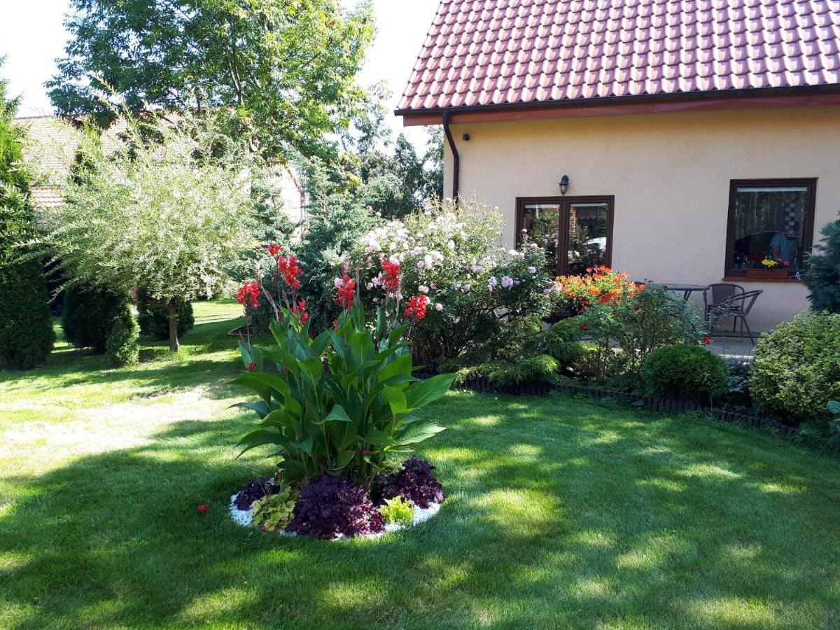 Agroturystyka Druzno Elblag Buitenkant foto