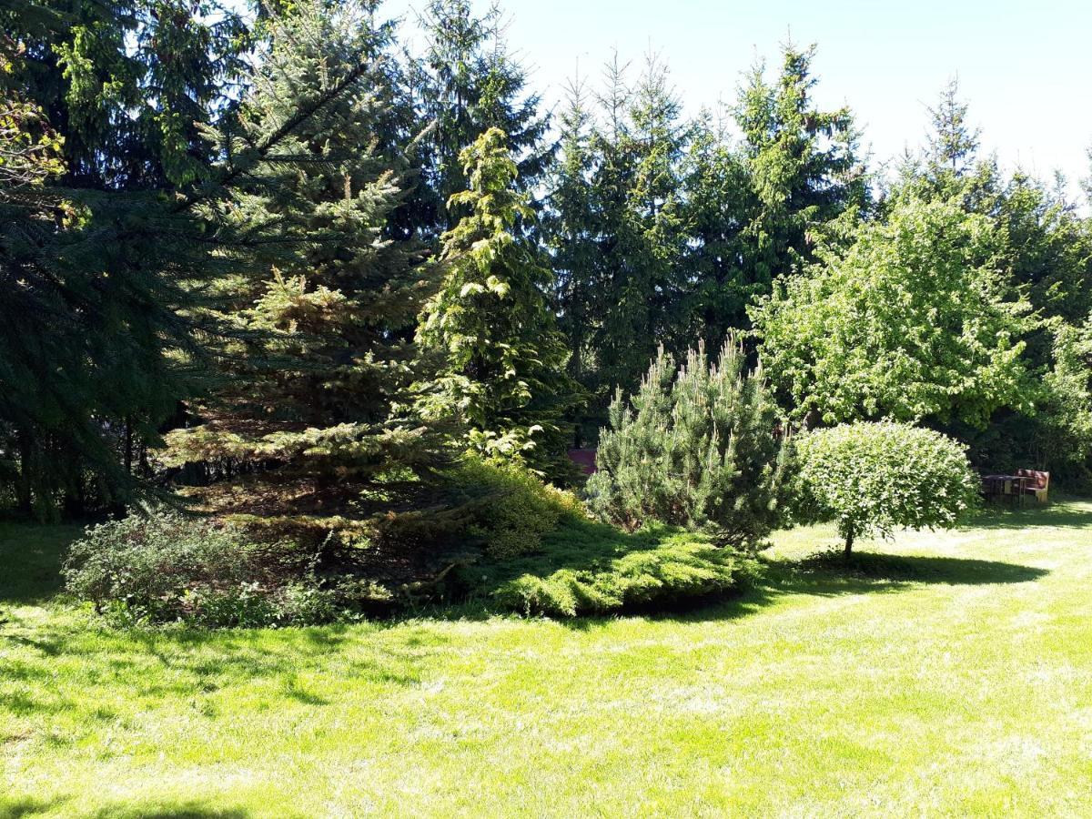 Agroturystyka Druzno Elblag Buitenkant foto